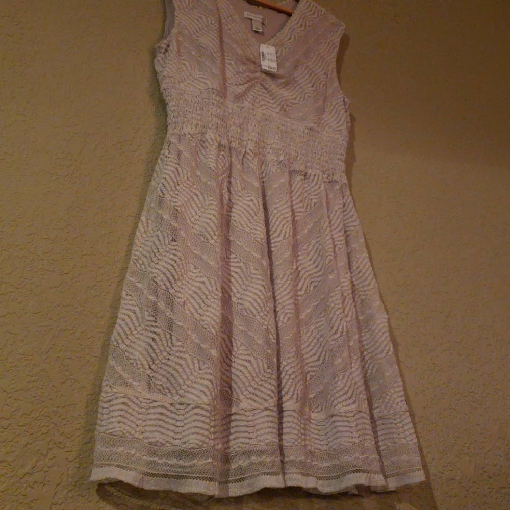 Christopher & Banks Lace Fit & Flare Dress